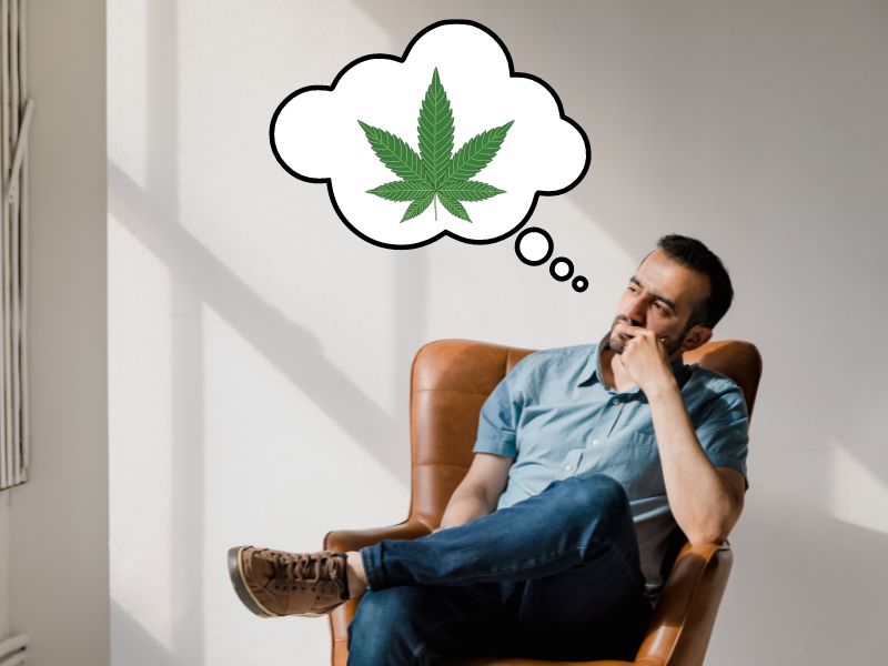 Is Delta 8 Safe for You? An expert’s guide on how to choose reputable brands.
