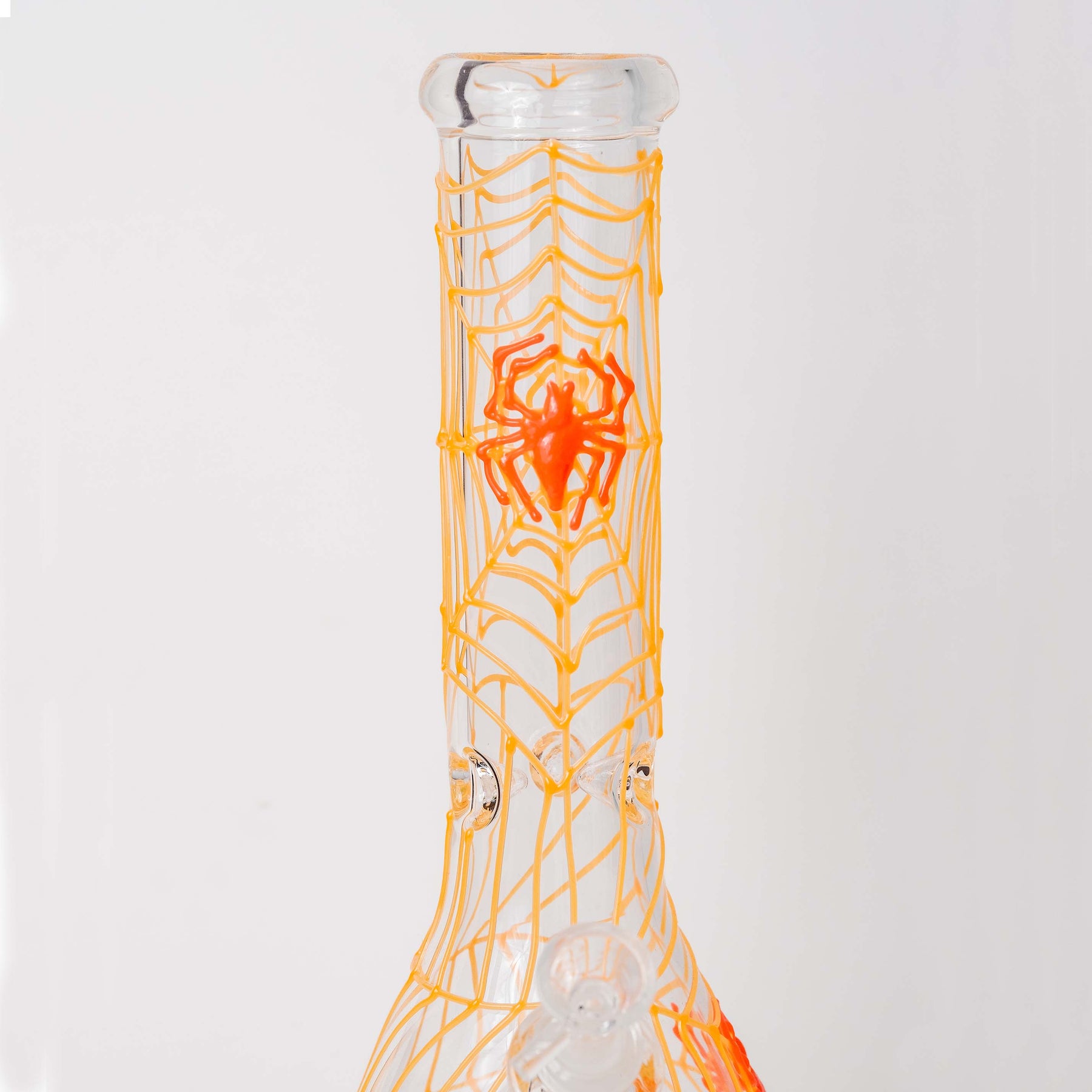 Close Up View of Spider Web Detail in Bong